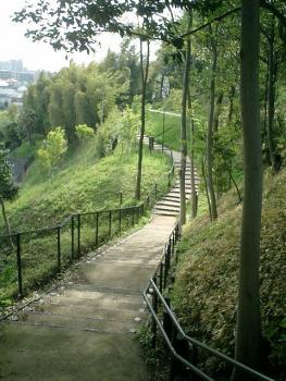 24.8:263:350:0:0:chigasak_05:center:1:1:東郭から南郭下虎口を見下ろす。奥の左手は中郭土塁:0: