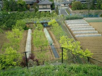 23.5:350:263:0:0:chigasak_06:center:1:1:東郭北の腰郭から私有地を見下ろす。ここも遺構の範囲内の模様:0: