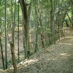 比高二重土塁の外縁から空堀を覗く