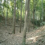 東郭南の空堀とその対岸は比高二重土塁になっている