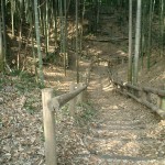 東西郭を区切る堀底は遊歩道になっている