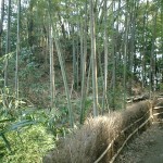 西郭矢倉台は、以前丸太組みの井楼が建てられていた