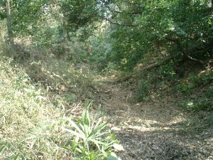 意外と深い、主郭西の空堀。往時は鋭い角度を持っていたのかも知れない。