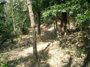 主郭西側に横たわる竪堀。うっすらだが確実に残っている。